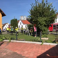 img_9280.jpg