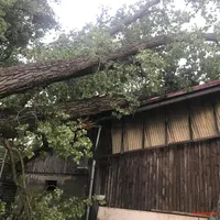36ddc78f-f8f2-461f-8037-2d0025f58e80.JPG