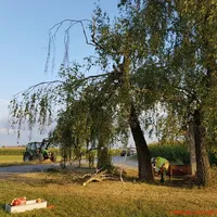 20180809_192646.jpg